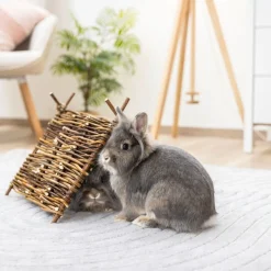 Kerbl pieneläimen tiipii-teltta