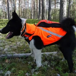 Kevlar-liivi koiralle, Kardog