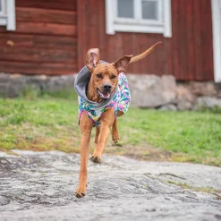KevytPomppa valjasaukolla, Trail