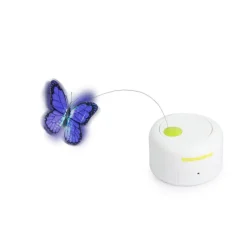 Kissan aktivointilelu AFP Butterfly, liiketunnistimella