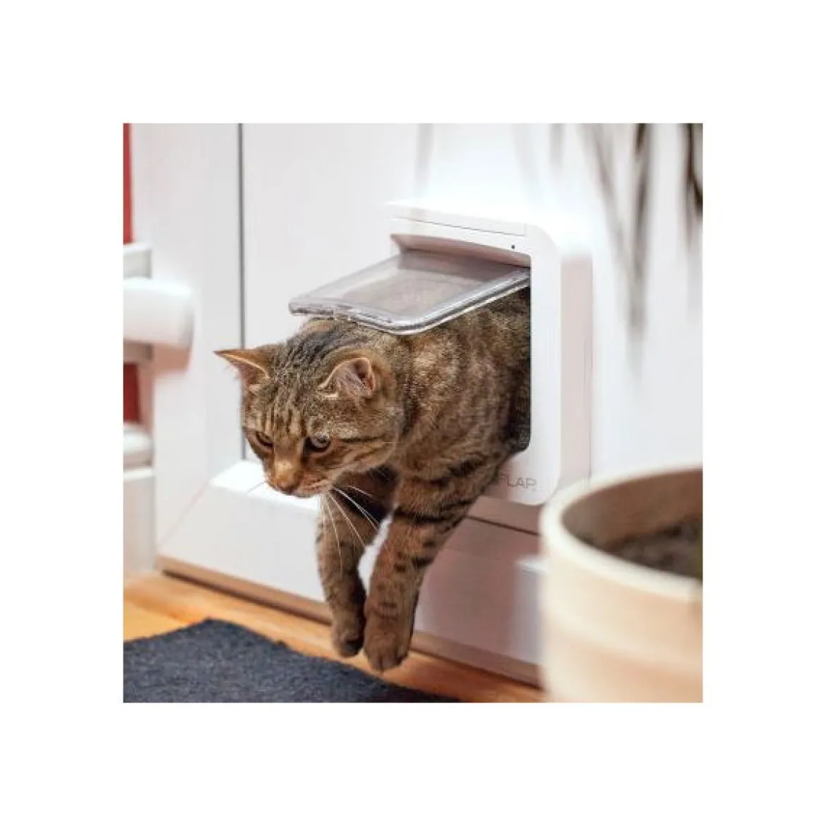 Kissanluukku mikrosirulla Trixie SureFlap
