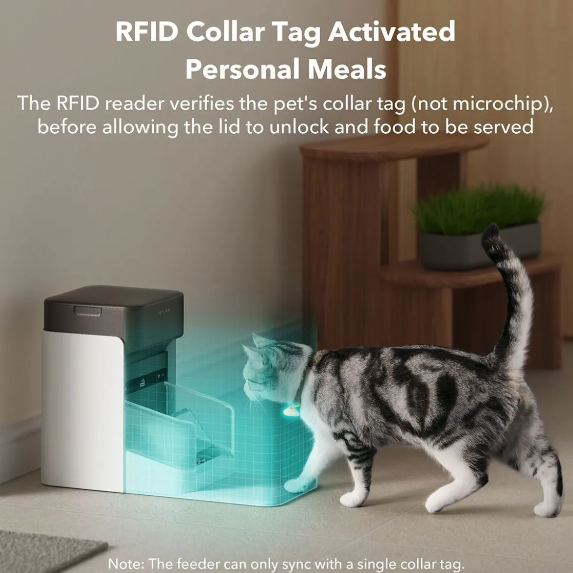 Kissan ruokinta-automaatti Petlibro One RFID-lukijalla
