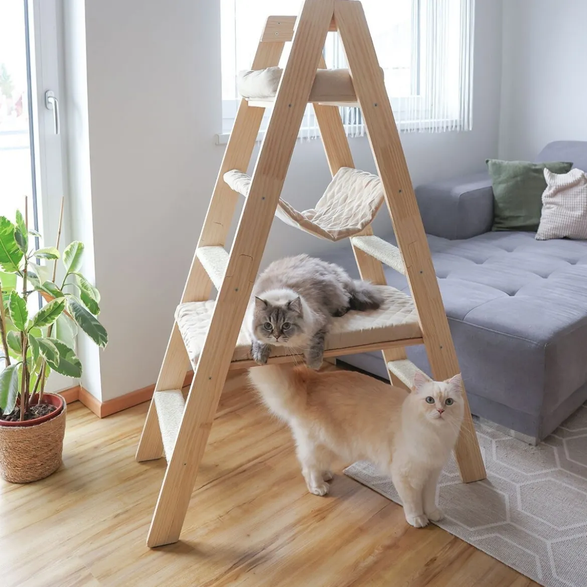 Kissan tikkaat Kerbl Ladder
