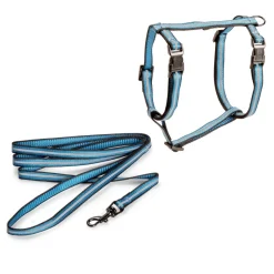 Kissan valjassetti Basic Reflective