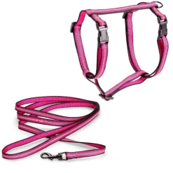Kissan valjassetti Basic Reflective