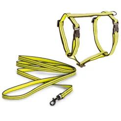 Kissan valjassetti Basic Reflective