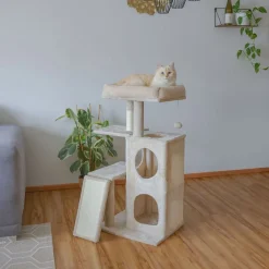 Kissapuu Kerbl Alessia