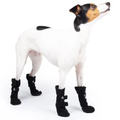 Koiran fleecetossut Basic Paws 4kpl