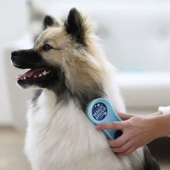 Koiran harja MagicBrush Dog Soft