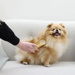 Koiran harja MagicBrush Dog Soft