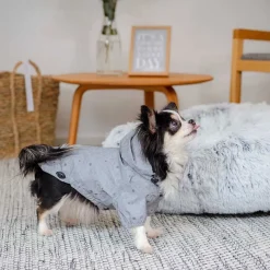 Koiran heijastava sadehuppari ItsyBitsy Typhoon