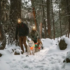Koiran heijastintakki Ruffwear Lumenglow
