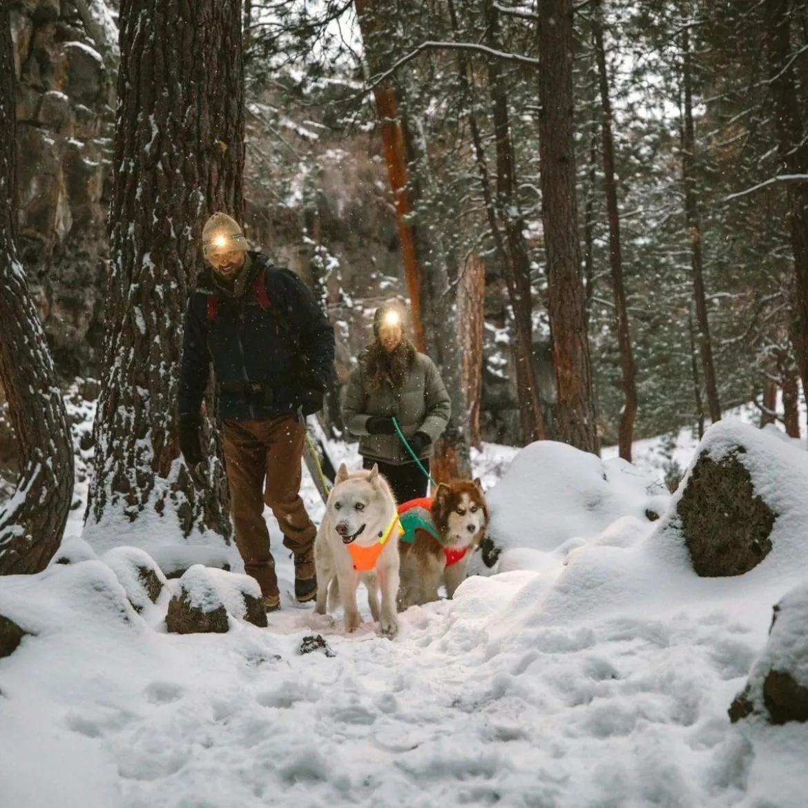 Koiran heijastintakki Ruffwear Lumenglow