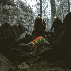 Koiran heijastintakki Ruffwear Lumenglow
