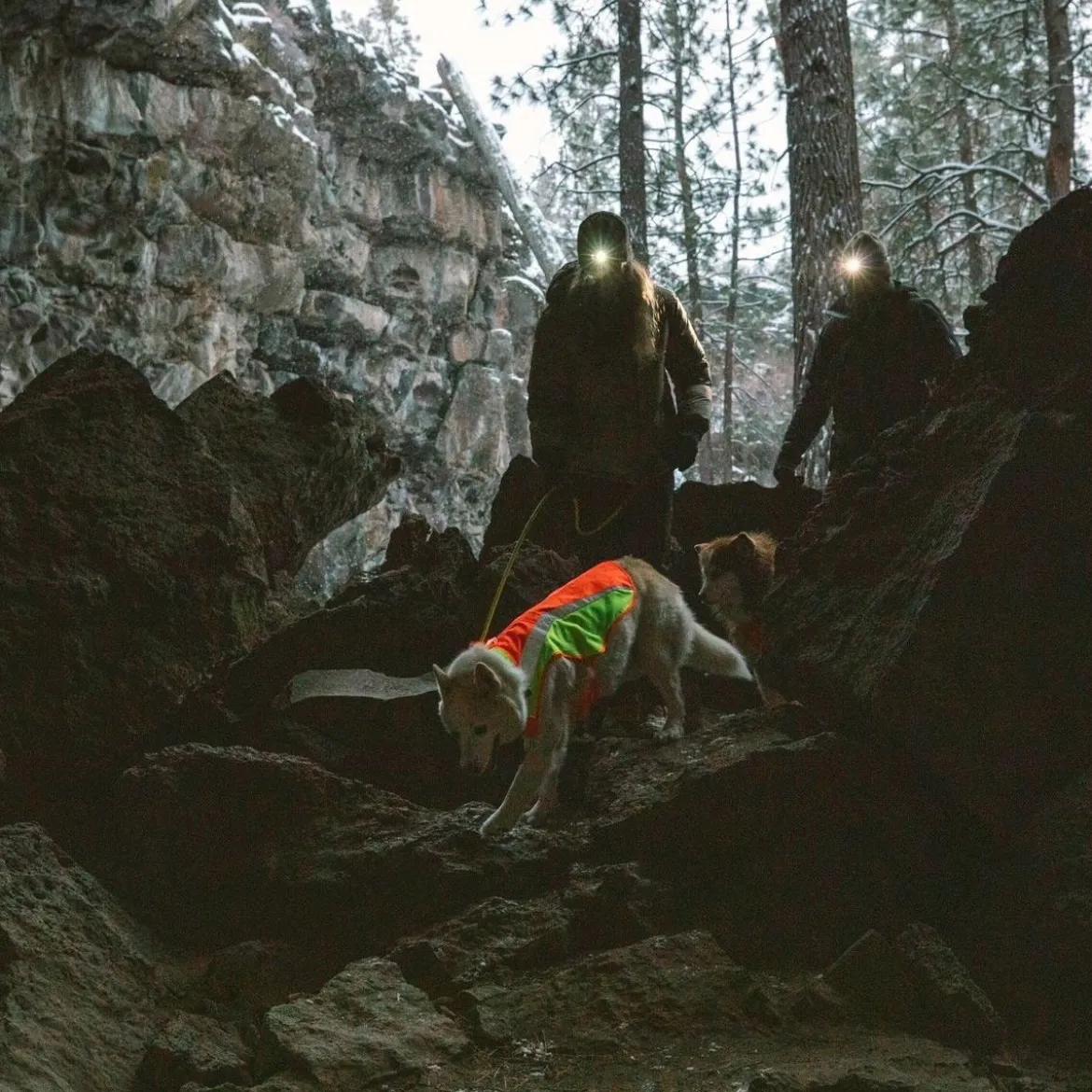 Koiran heijastintakki Ruffwear Lumenglow
