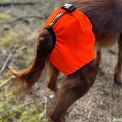 Koiran kivessuoja Kaapo, Kardog