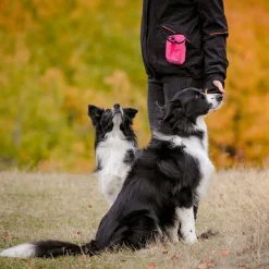 Koiran makupalapussi Pro Dog Treat