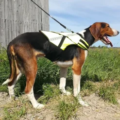 Koiran metsästysliivi Rymy, Kardog
