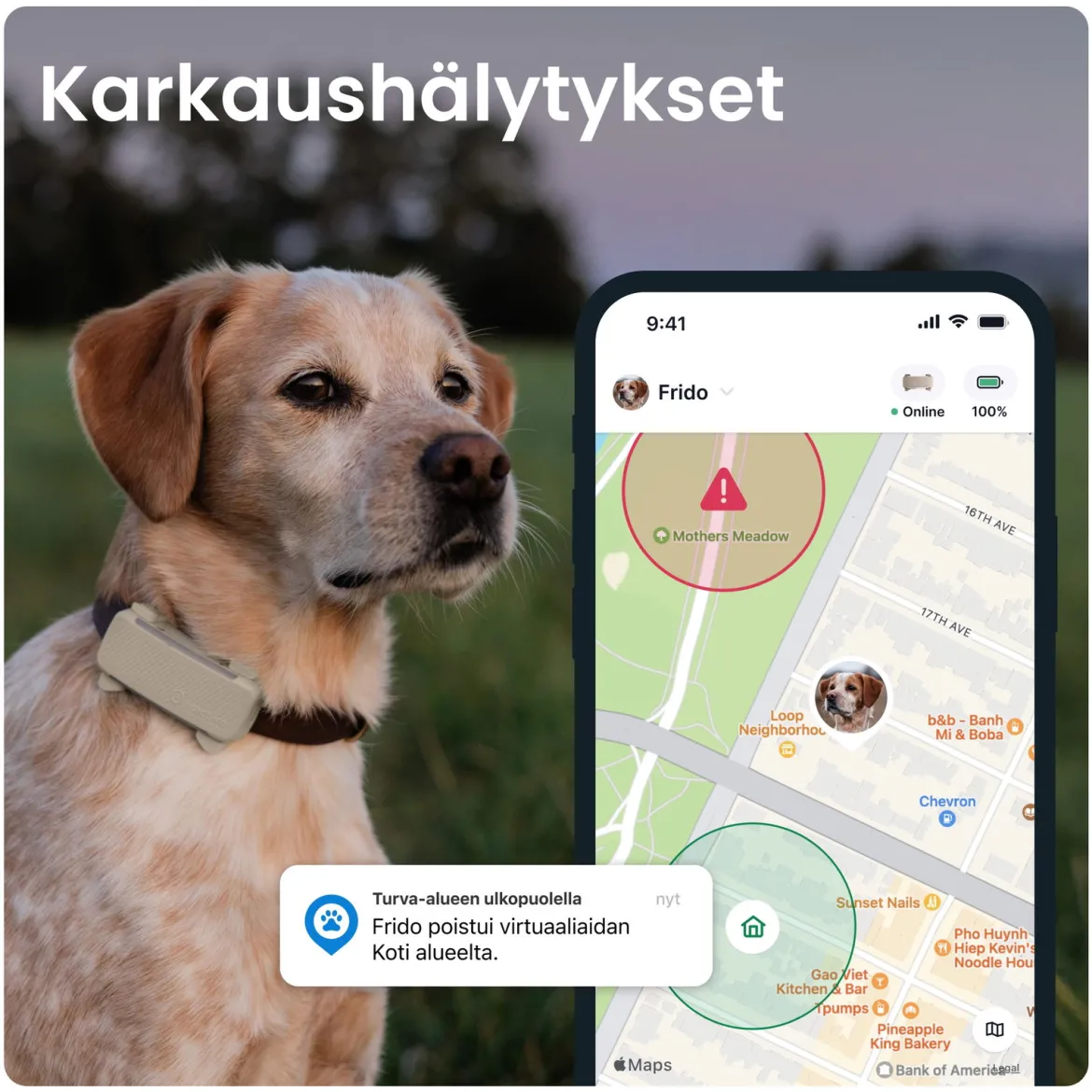 Koiran paikannin Tractive DOG 6