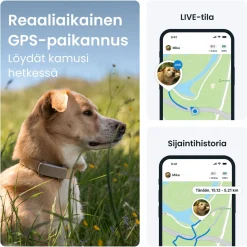 Koiran paikannin Tractive DOG 6