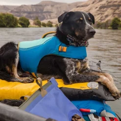 Koiran pelastusliivit Ruffwear Float Coat, sininen