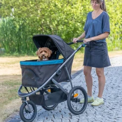 Koiran rattaat Trixie Buggy Premium