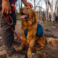 Koiran reppu Ruffwear Front Range, sininen