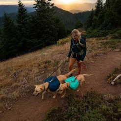 Koiran reppu Ruffwear Front Range, sininen