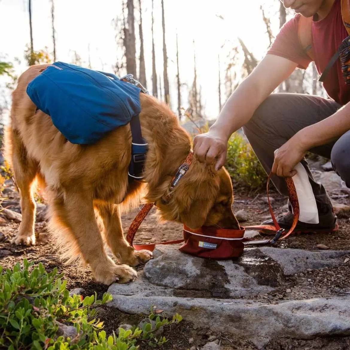 Koiran reppu Ruffwear Front Range, sininen