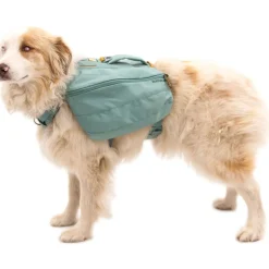 Koiranreppu Ruffwear Front Range, River Rock Green