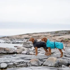 Koiran sadetakki Feel Active Göteborg musta