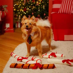 Koiran solmio Little&Bigger Festive ruutukuvio