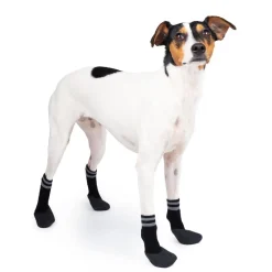 Koiran sukat Basic Paws 4 kpl mustat