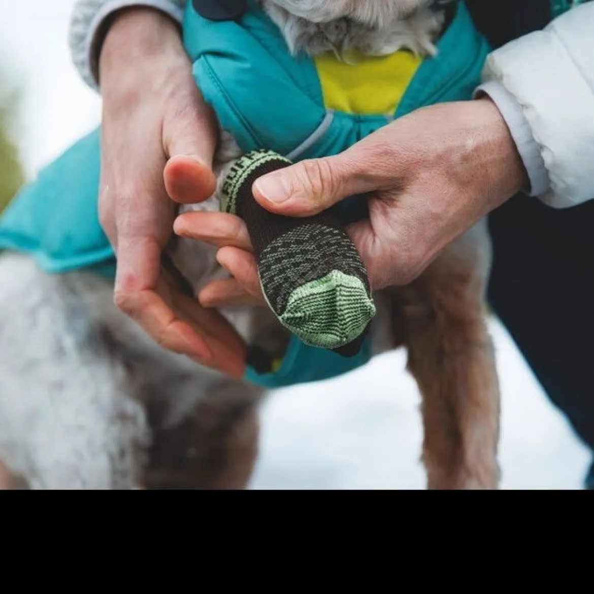 Koiran sukat Ruffwear Bark'n Boot
