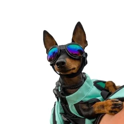 Koiran suojalasit K9 Sport Shades, musta