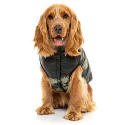 Koirantakki FuzzYard Harlem Puffer, camo