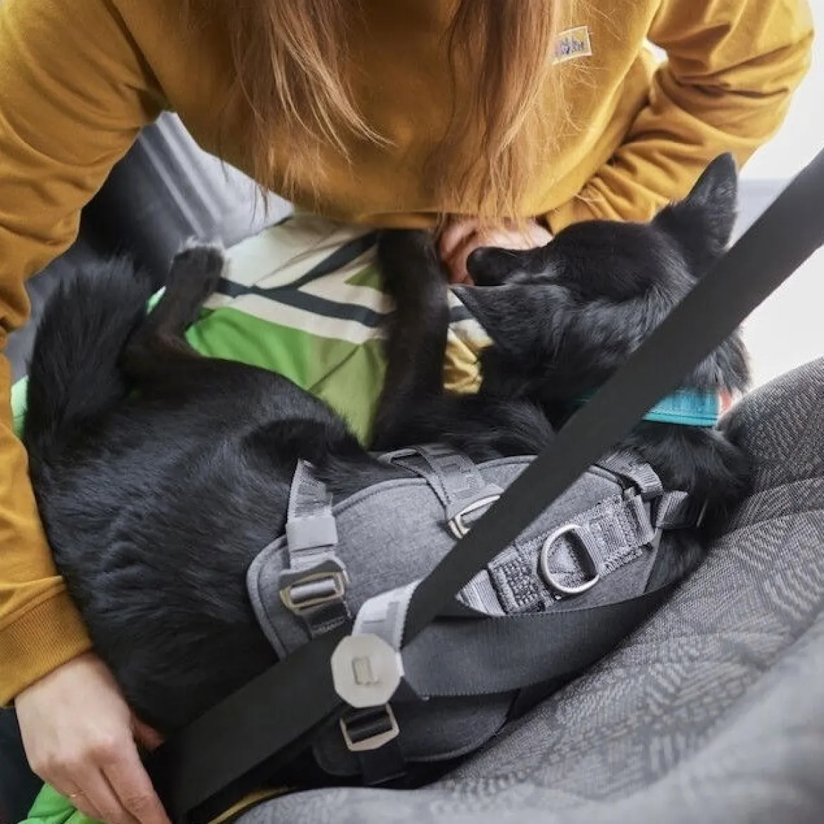 Koiran turvavyövaljaat Hurtta Travel ECO