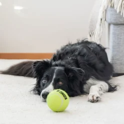 Kong Airdog Squeaker Ball