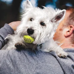 KONG Airdog Squeaker Tennis Ball, 3 kpl