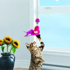 Kong Cat Connects Window Teaser