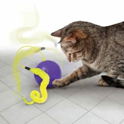 KONG Cat Whirlwind aktivointilelu