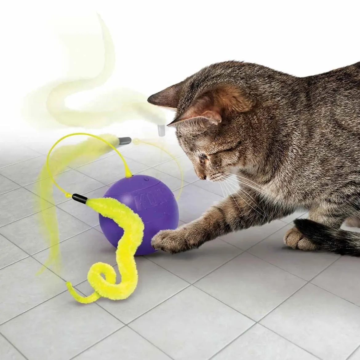 KONG Cat Whirlwind aktivointilelu