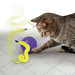 KONG Cat Whirlwind aktivointilelu