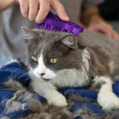 KONG Cat ZoomGroom