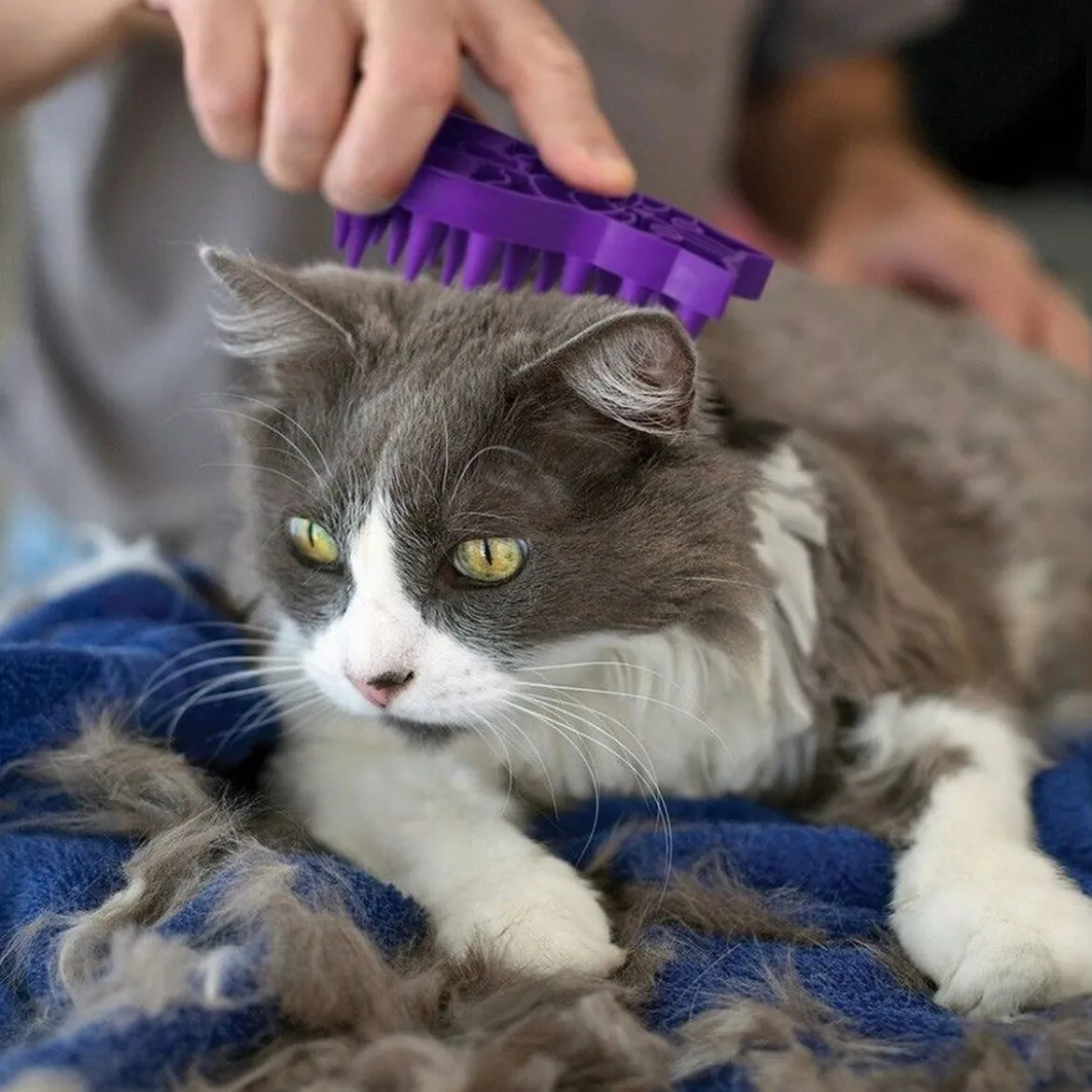 KONG Cat ZoomGroom