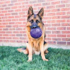 KONG Flexball