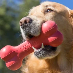 KONG Goodie Bone M punainen