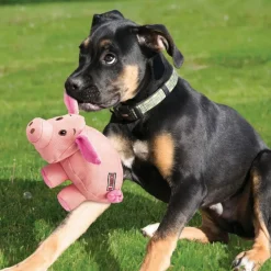 KONG Phatz Pig