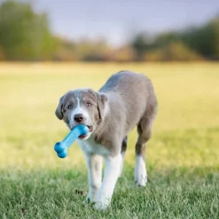 Kong Puppy Goodie Bone, S