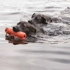 KONG Training Dummy